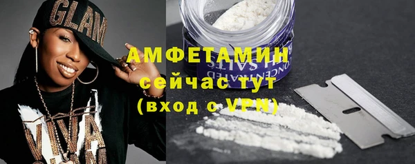 ECSTASY Богданович